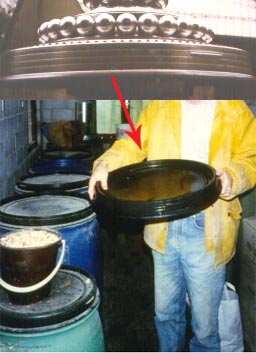 Lid.jpg