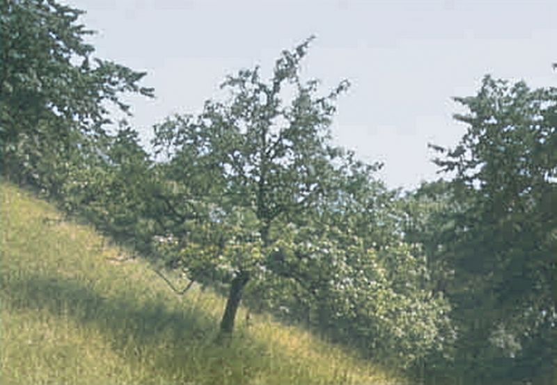 File:CR80-Image1.jpg