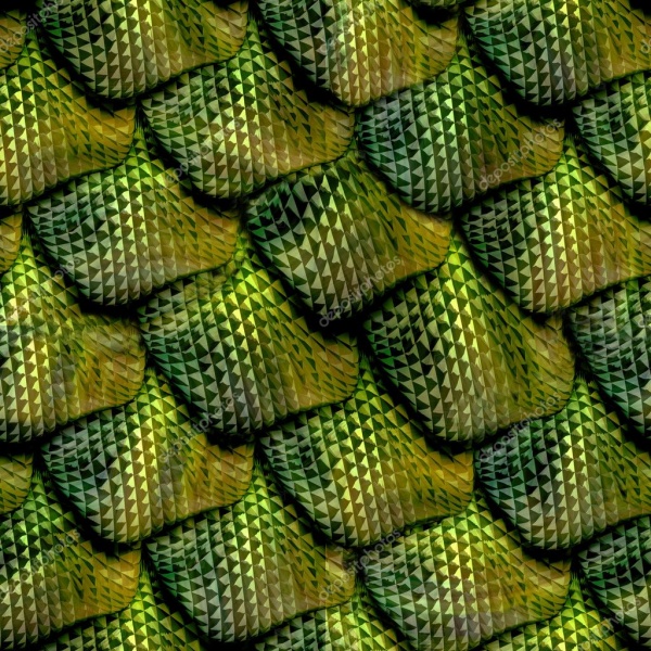 File:Reptile-scale.jpg
