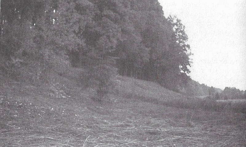 File:Photo-zeugenbuch-p120a.jpg