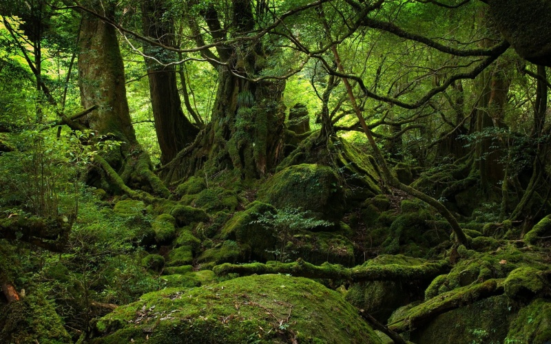 File:Deneb Eco Fictional.jpg