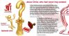 Pinterest UFO Contactee Billy Meier 040.jpg