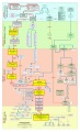 Lineage-Genealogy-sec-1.jpg