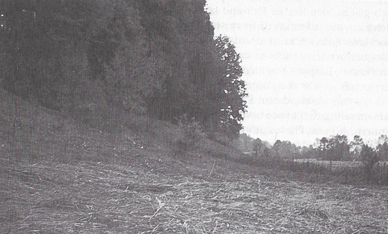 File:Photo-zeugenbuch-p120b.jpg