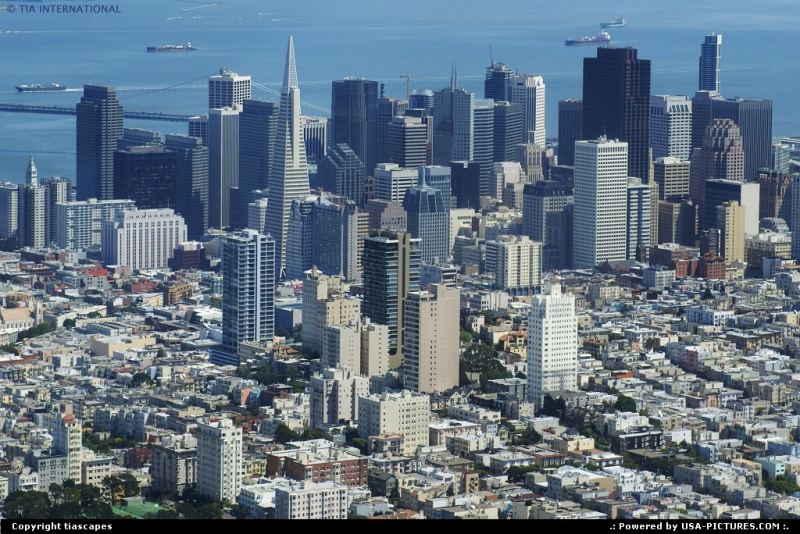 File:SFBest.jpg