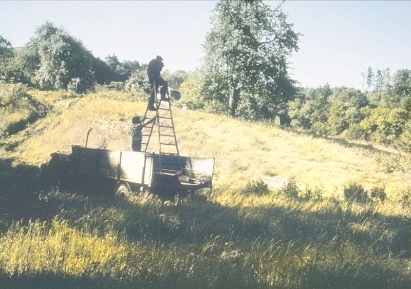 File:CR131-Image4.jpg