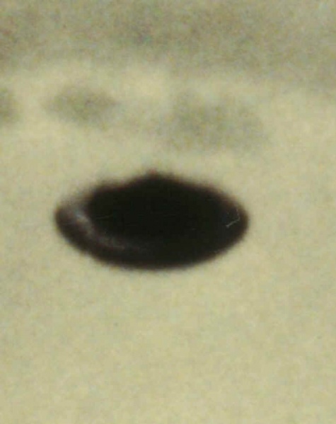 File:Meier-03.jpg