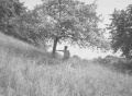 Thumbnail for version as of 21:51, 18 December 2019